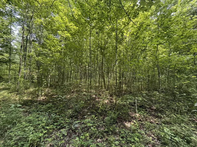 $100,000 | 107 Possum Trot Lane, Linden, TN 37096