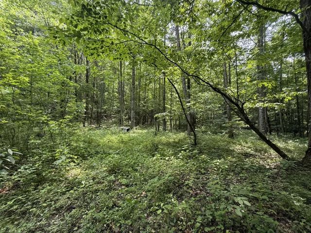 $100,000 | 107 Possum Trot Lane, Linden, TN 37096