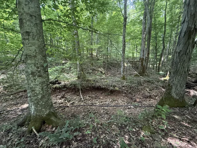 $100,000 | 107 Possum Trot Lane, Linden, TN 37096