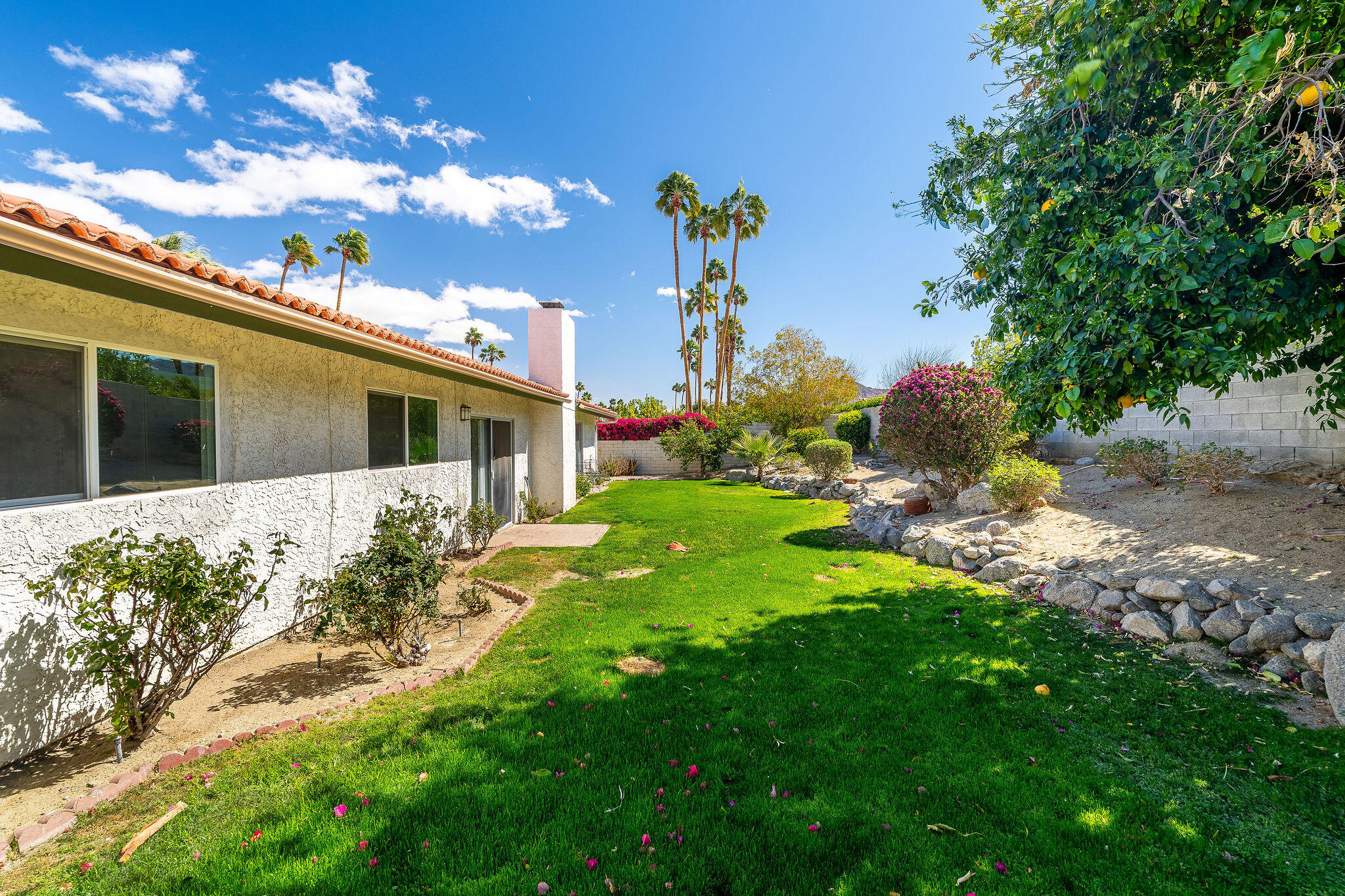 73165 Haystack Road Palm Desert, CA 92260 - Photo 41 of 50 Back Yard