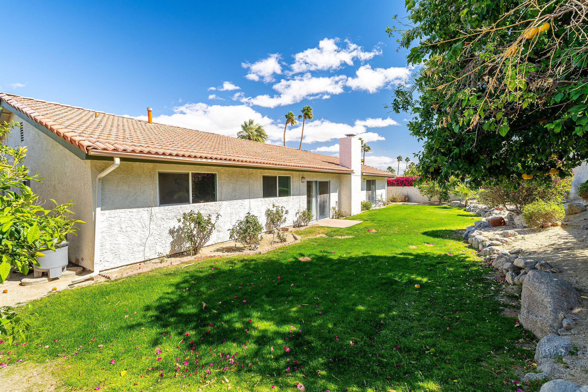 73165 Haystack Road Palm Desert, CA 92260 - Photo 42 of 50 Back Yard