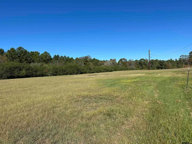 a view of a field with an ocean