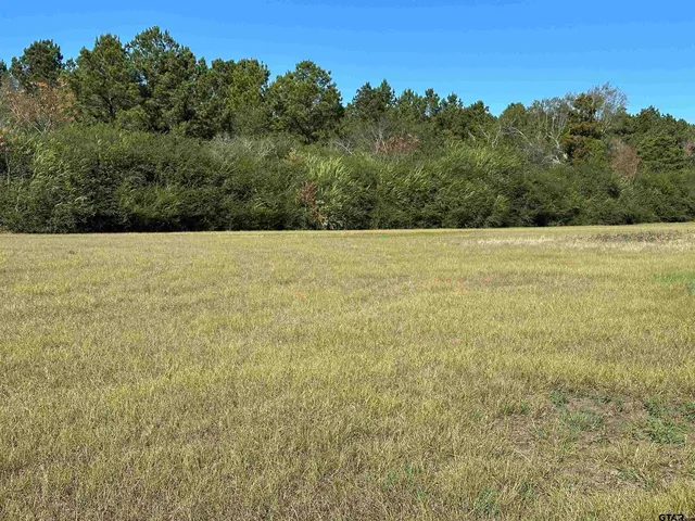 a view of an outdoor space and a yard