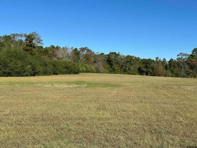 a view of a field with an ocean