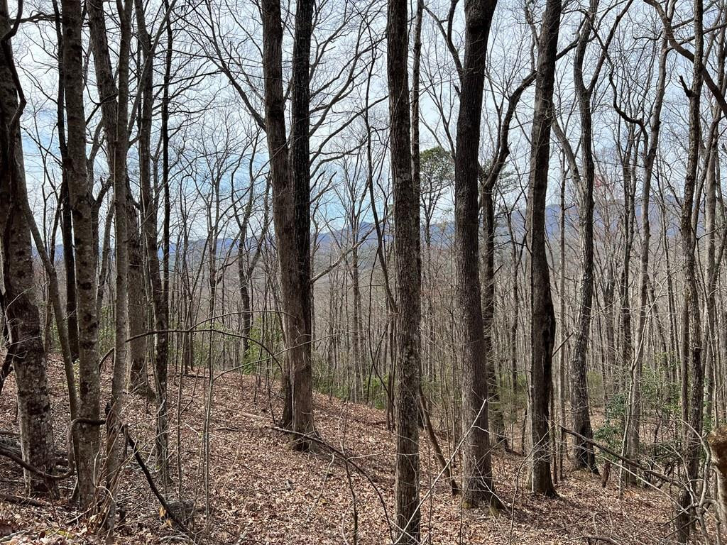 0 Laurel Drive Marble, NC 28905 - Photo 40 of 42