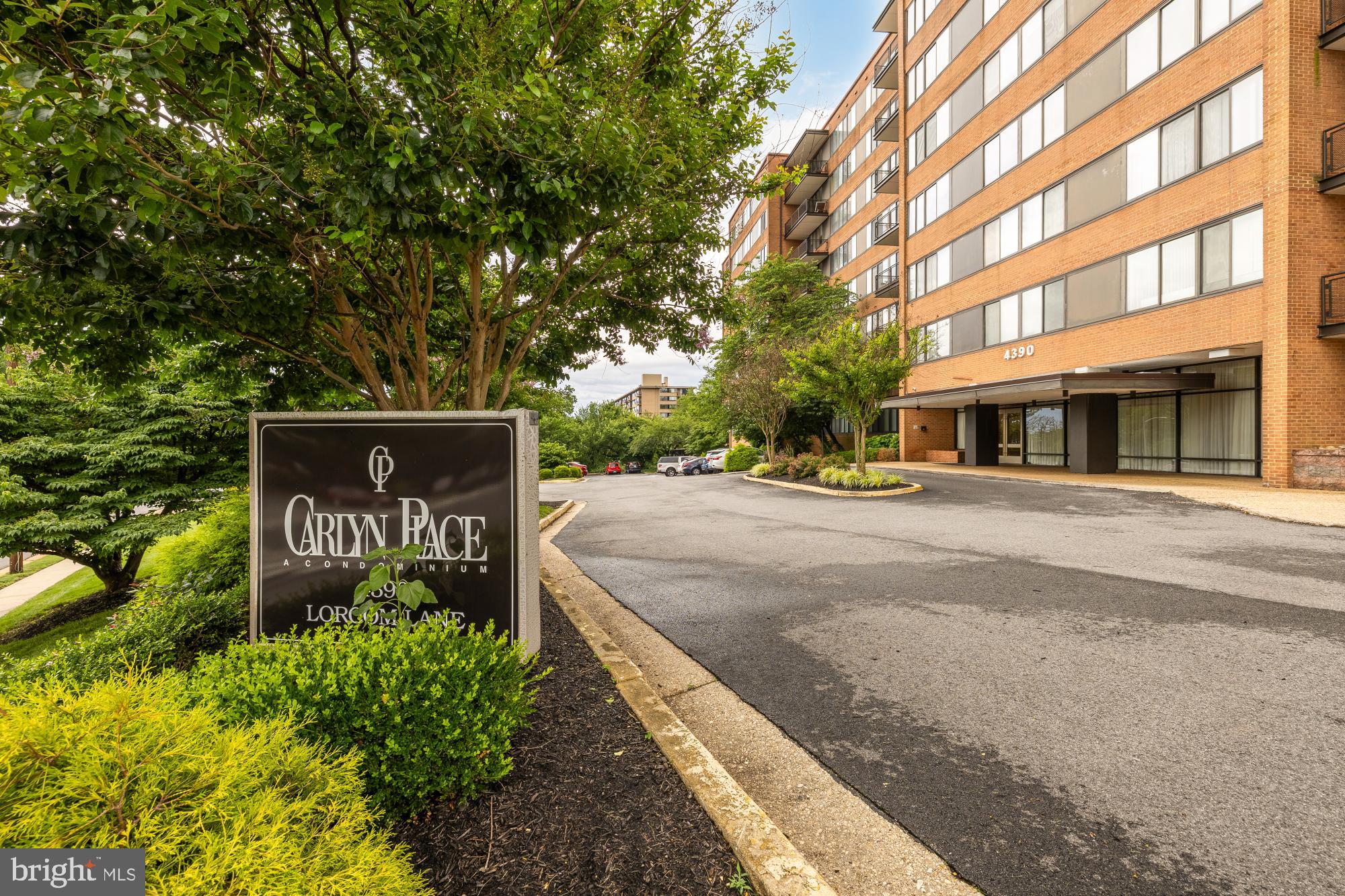 4390 Lorcom Lane, Unit 503 Arlington, VA 22207 - Photo 1 of 31 Carlyn Place: Modern Living Awaits You