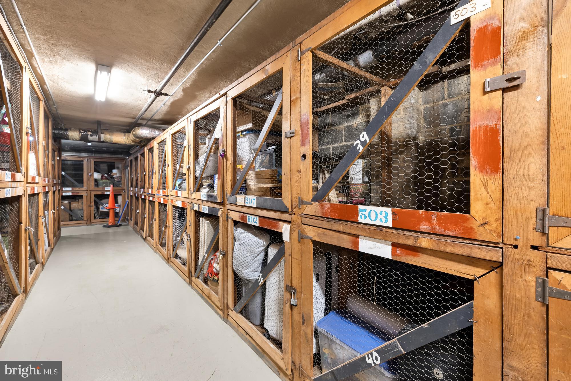4390 Lorcom Lane, Unit 503 Arlington, VA 22207 - Photo 26 of 31 Spacious storage area with wooden enclosures.