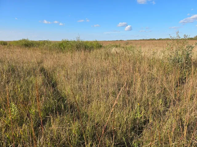 $350,000 | Tbd 340 Street, Ogema, MN 56569