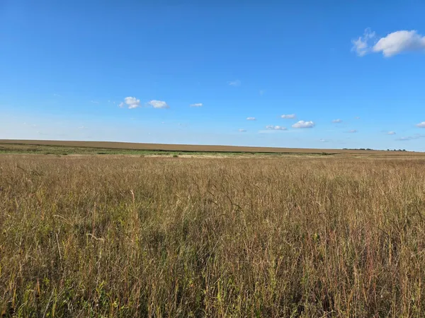 $290,000 | Tbd 340 Street, Ogema, MN 56569