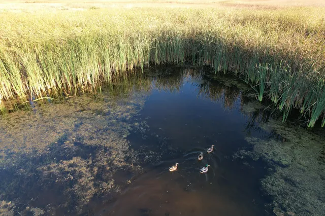 $350,000 | Tbd 340 Street, Ogema, MN 56569