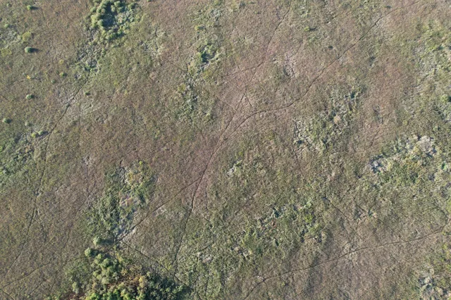 $350,000 | Tbd 340 Street, Ogema, MN 56569