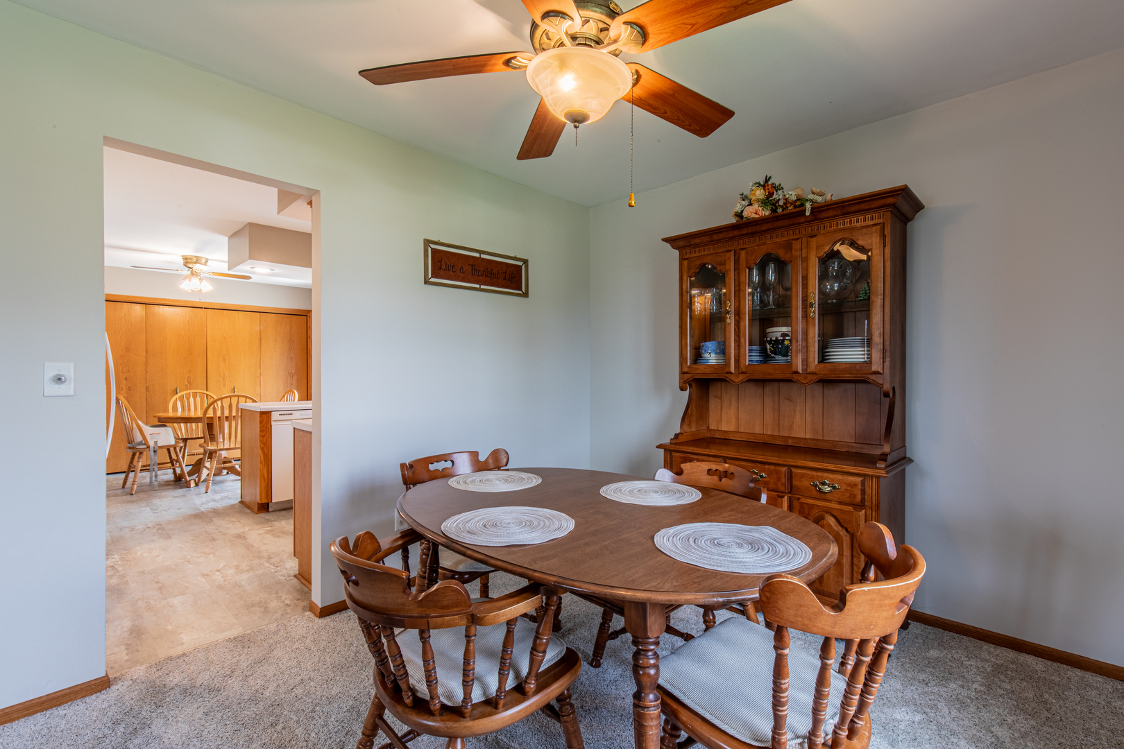 209 North Pleasant Street Ohio, IL 61349 - Photo 9 of 34