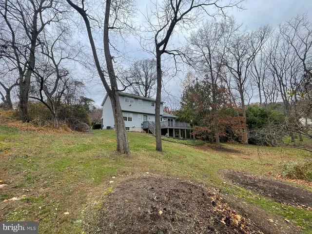 a view of patio yard and trees