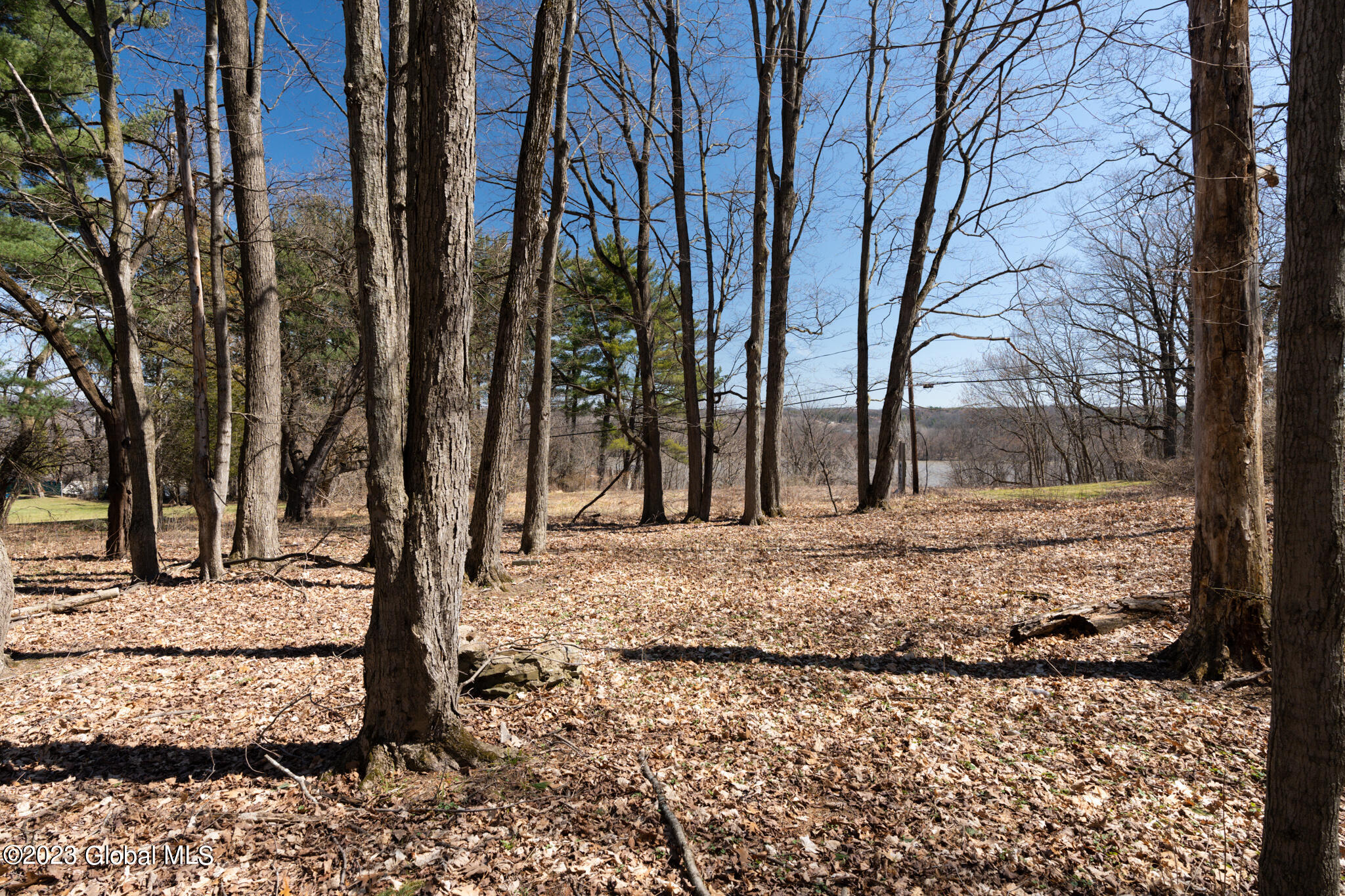 115 Mosher Road Bethlehem, NY 12077 - Photo 17 of 46 4DFE43DA-6A48-4CE3-8231-B7EC19322178