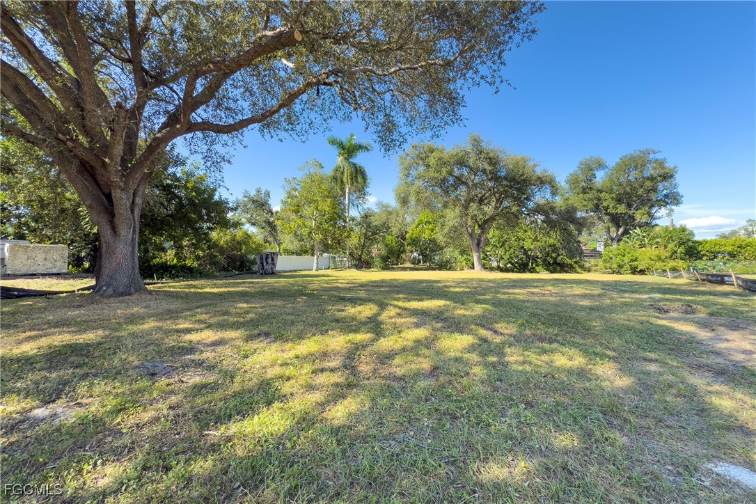 1329 Carlene Avenue Fort Myers, FL 33901 - Photo 9 of 10 a view of outdoor space with trees all around