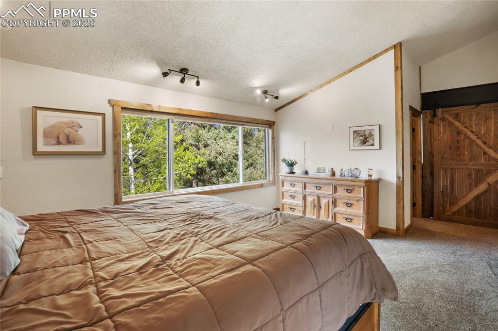 45 Barr Lake Circle Divide, CO 80814 - Photo 17 of 40 a bedroom with a bed and a window