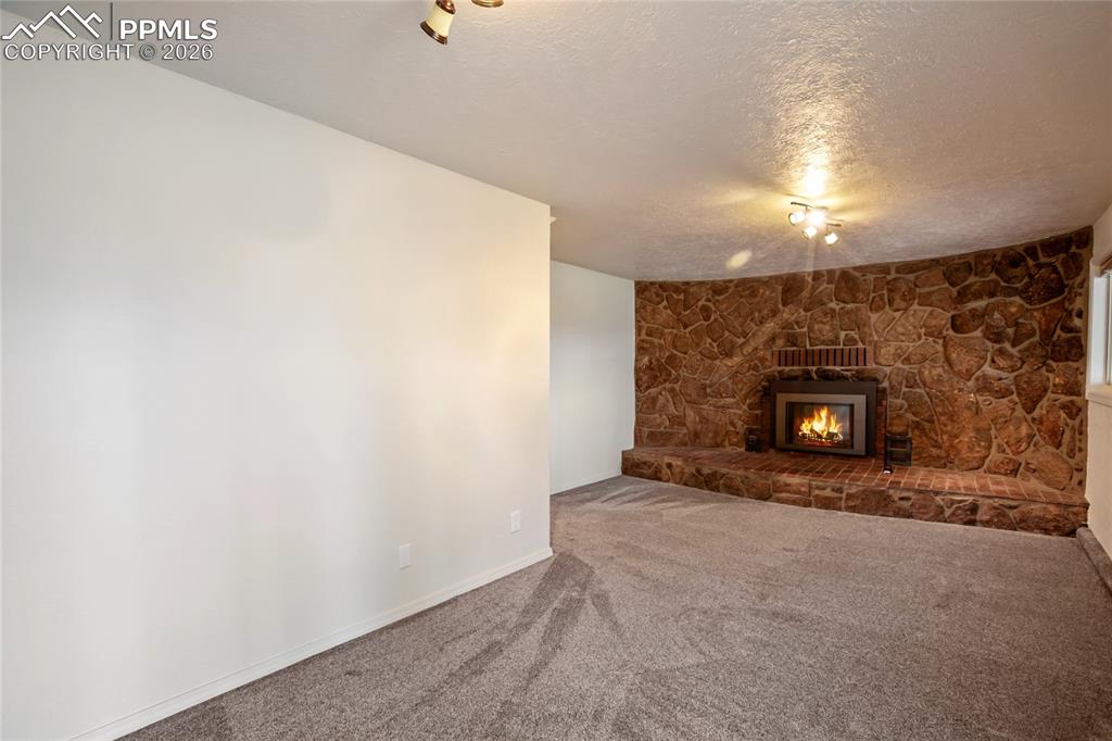 45 Barr Lake Circle Divide, CO 80814 - Photo 22 of 40 a view of an empty room and fire place