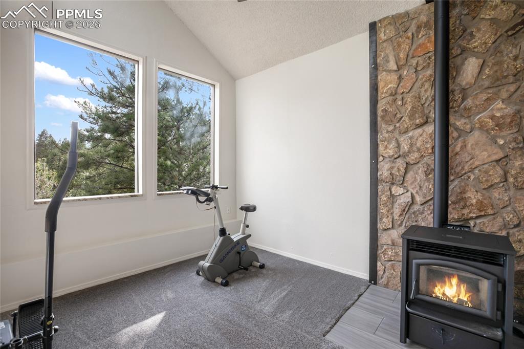 45 Barr Lake Circle Divide, CO 80814 - Photo 27 of 40 a room with a fireplace and a window
