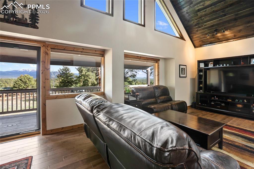45 Barr Lake Circle Divide, CO 80814 - Photo 8 of 40 a living room with furniture and a flat screen tv