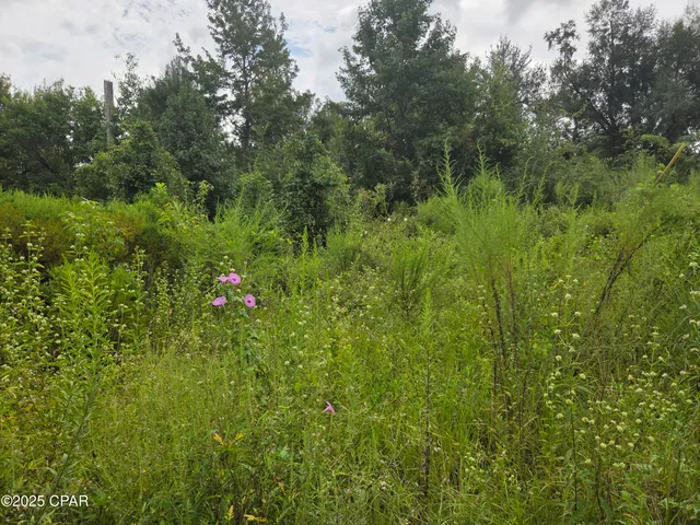 $89,000 | 7215 Diane Lane, Panama City, FL 32404