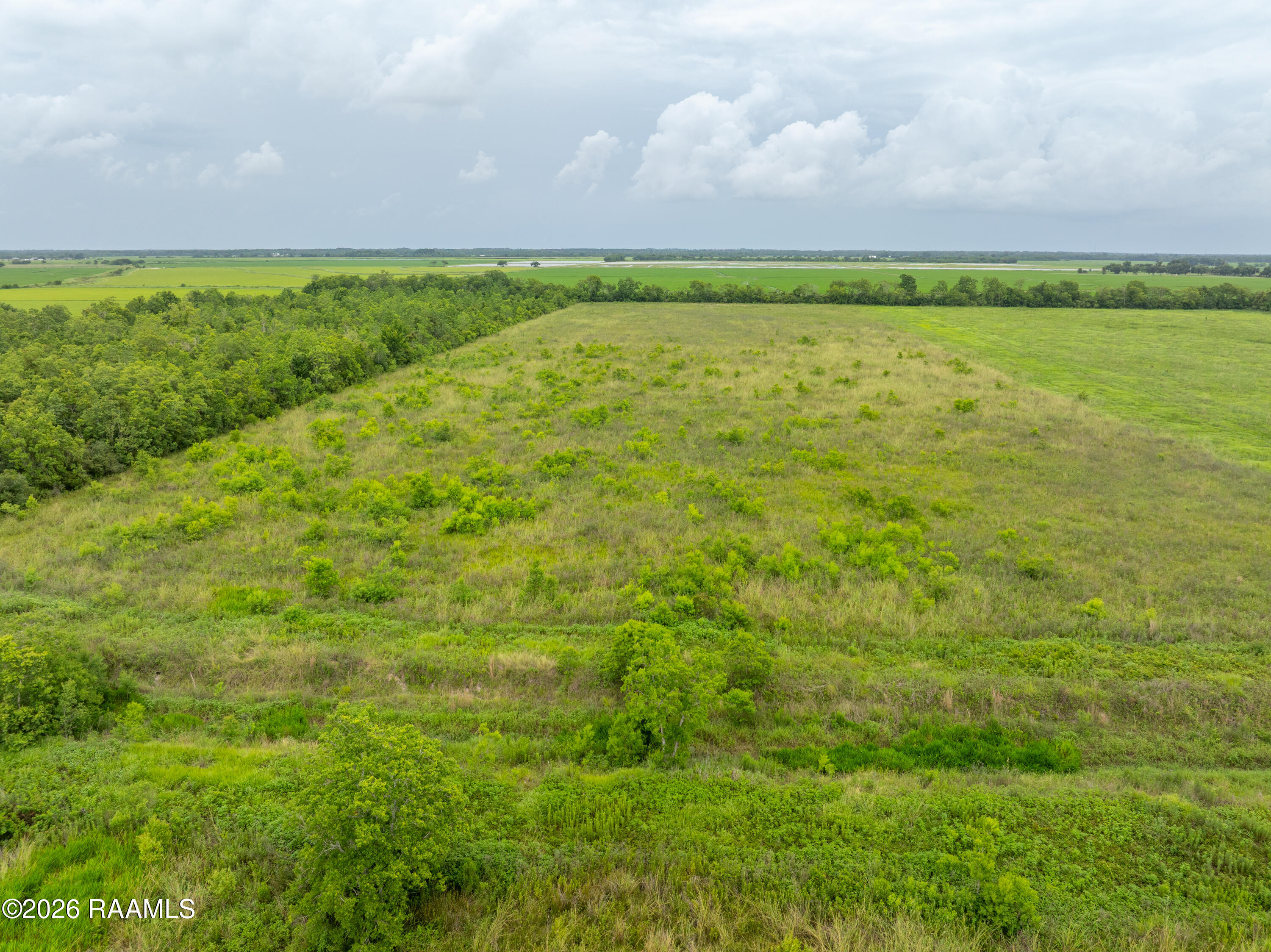 0 Bluefish Road Crowley, LA 70526 - Photo 8 of 11