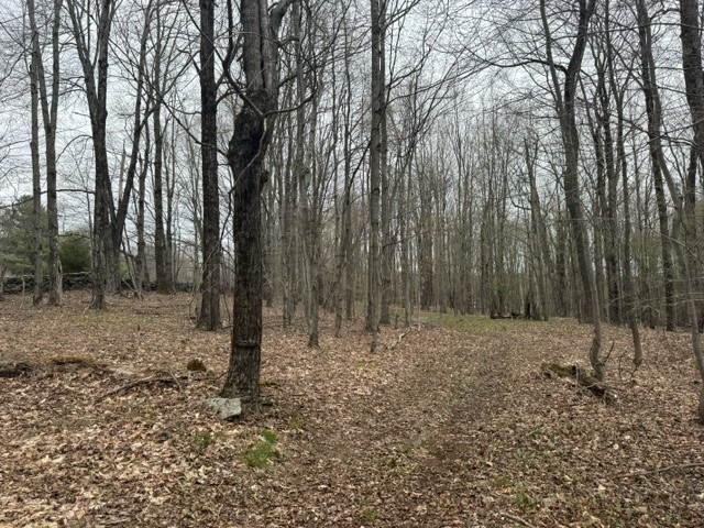 Lot 4 Shaver Hill Road Meridale, NY 13806 - Photo 35 of 44