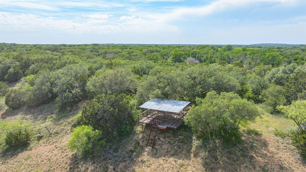 136 Moose Trail Ranger, TX 76470 - Photo 12 of 40 a view of a city with lush green forest
