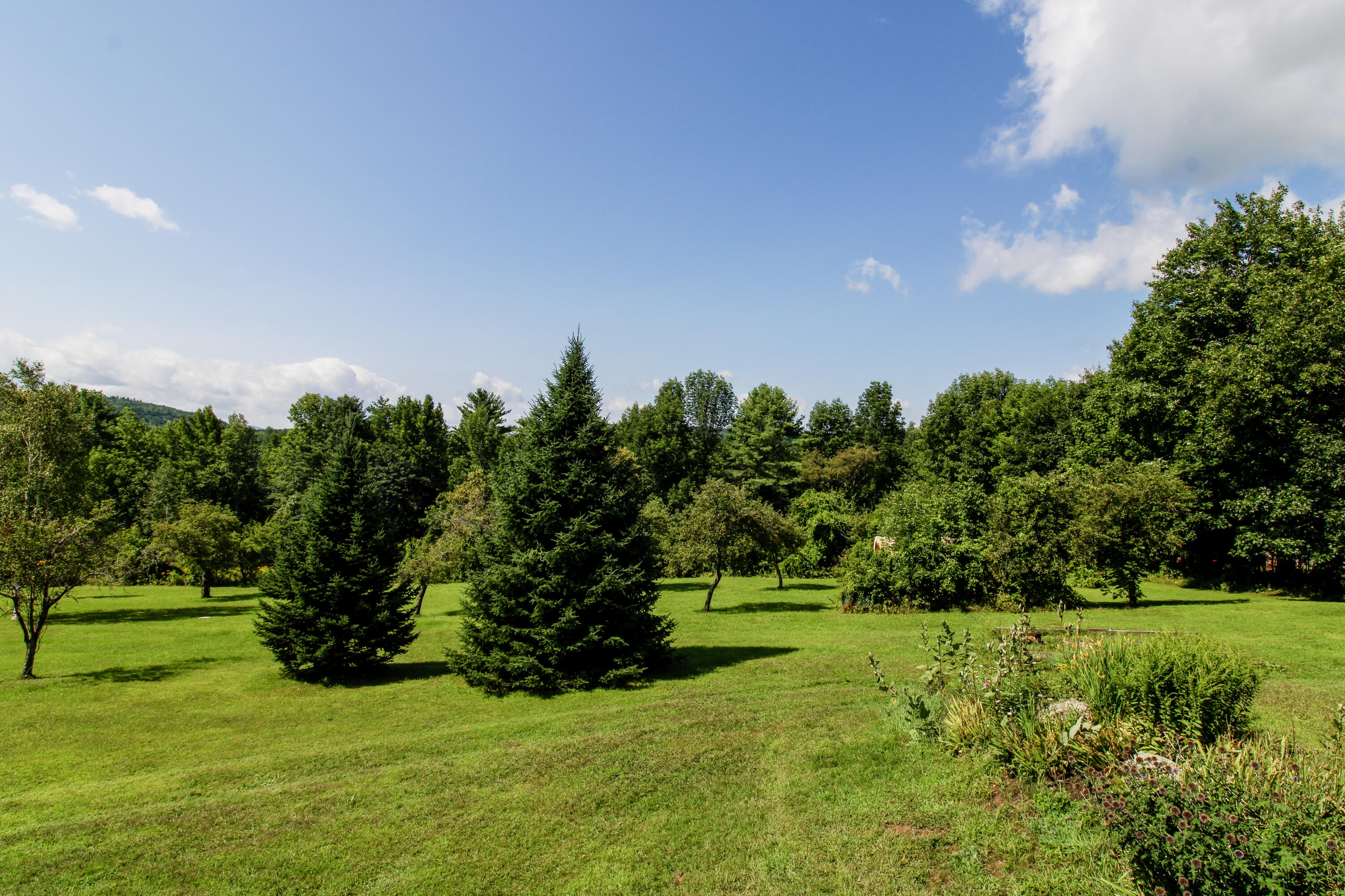 230 Plummer Hill Road Waterford, ME 04088 - Photo 14 of 35 Backyard