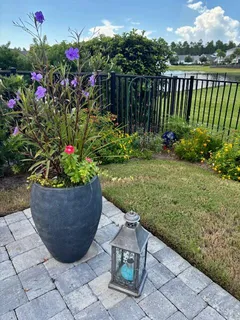 a view of a garden with flowers and wooden fence