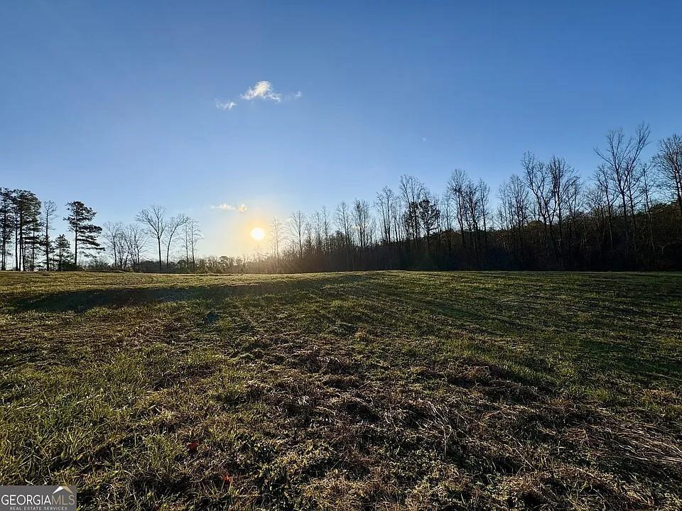 781 Thomas Street Roopville, GA 30170 - Photo 13 of 14 a view of lake view