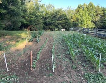 323 Beech Hollow Road Harrogate, TN 37752 - Photo 14 of 47 IMG_5759.thumbnail