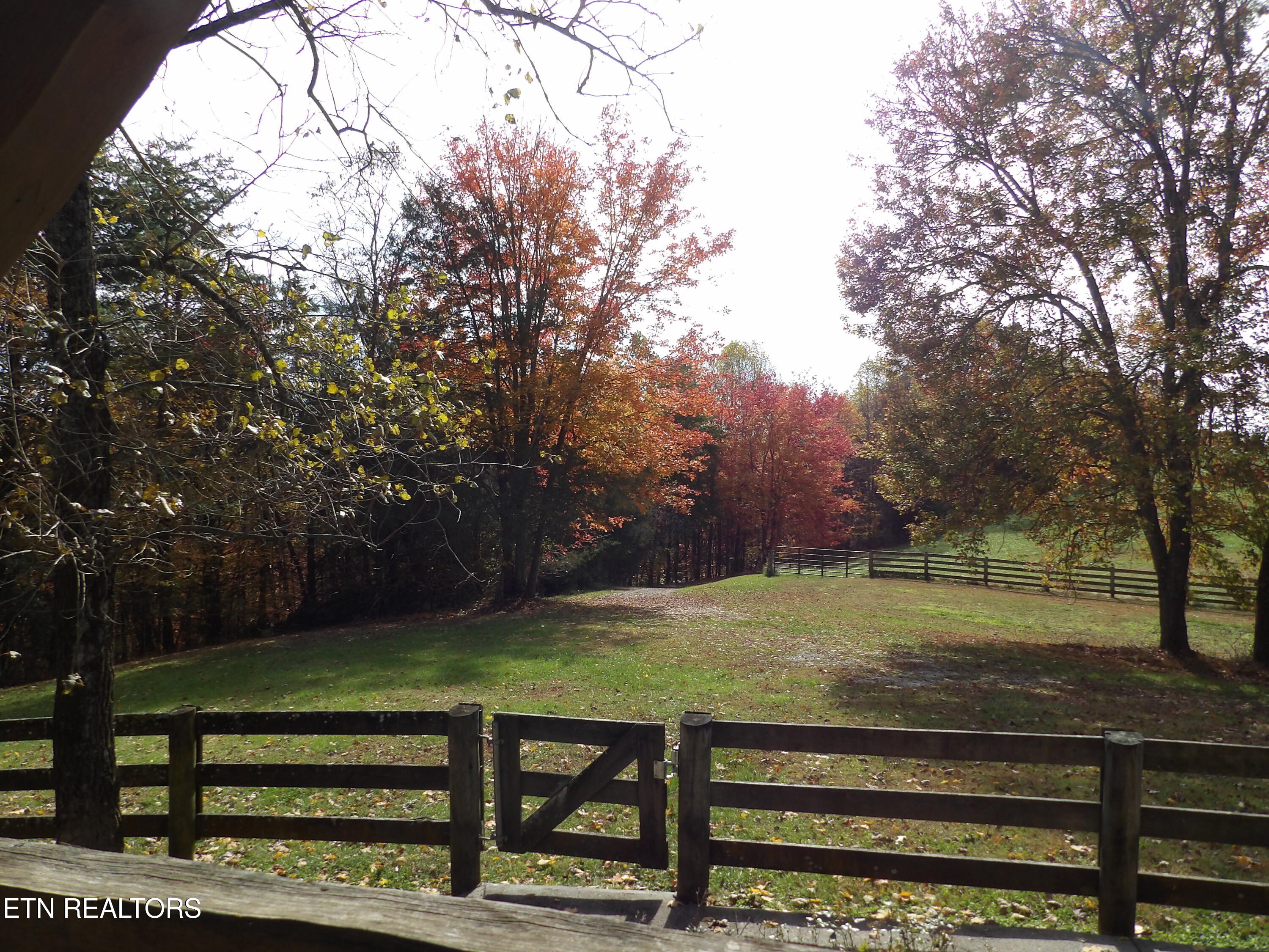 323 Beech Hollow Road Harrogate, TN 37752 - Photo 18 of 47 101_8086