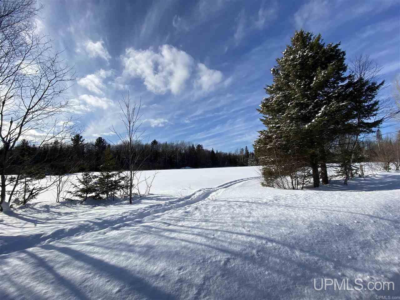 Tbd Halverson Road Skandia, MI 49885 - Photo 13 of 14