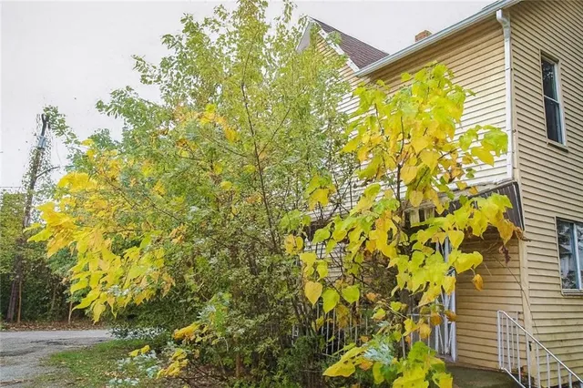 a bathroom with a window and a shower