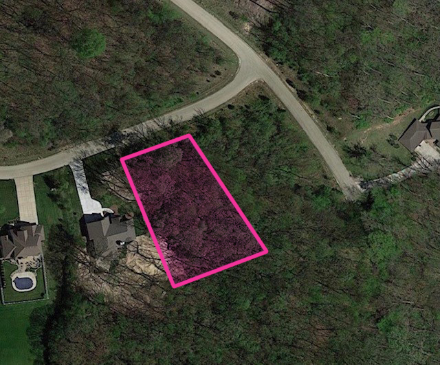 a view of a backyard with plants