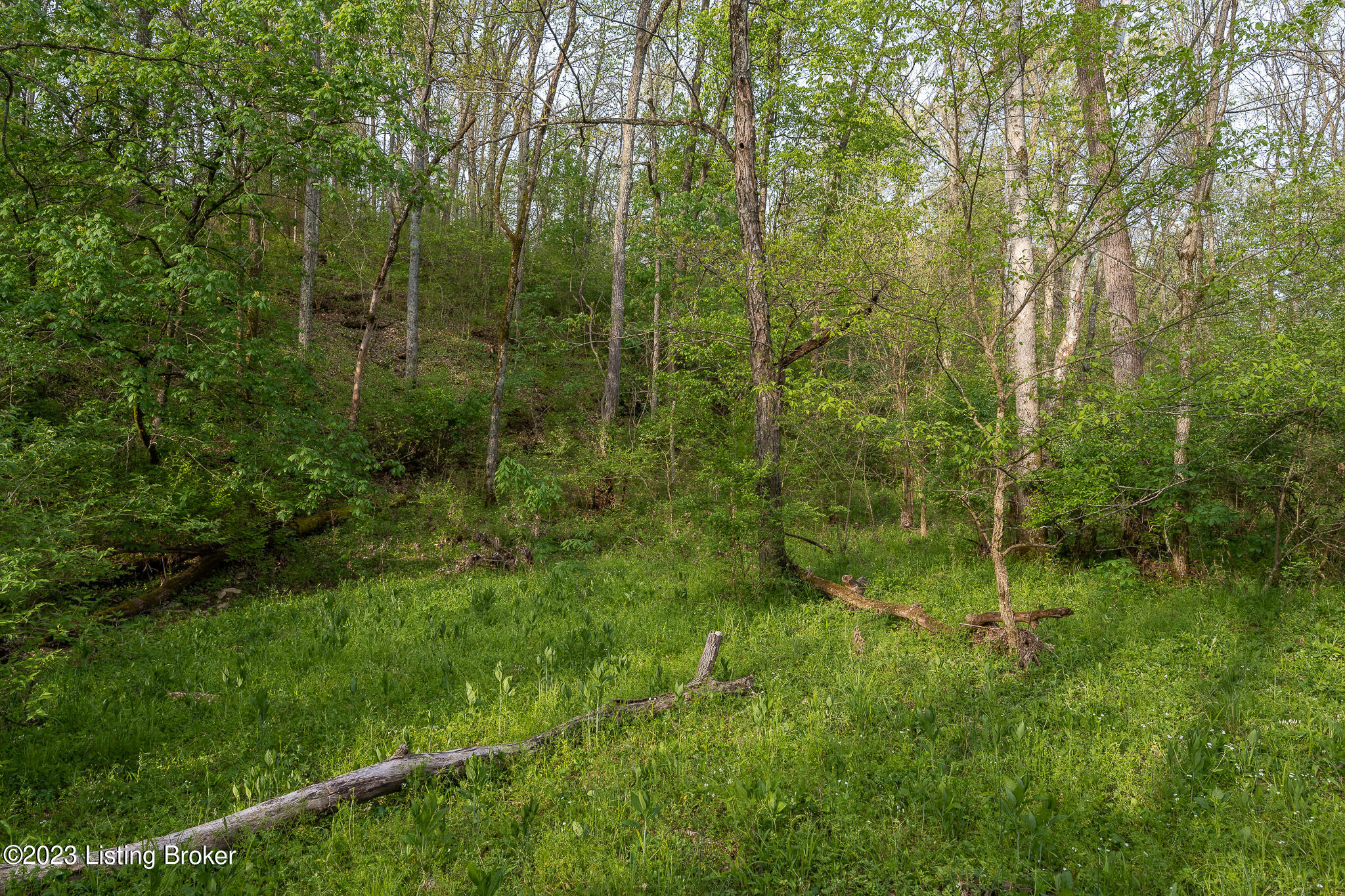 7962 Plum Run Road Bloomfield, KY 40008 - Photo 55 of 66 7962 Plum Run Rd-21