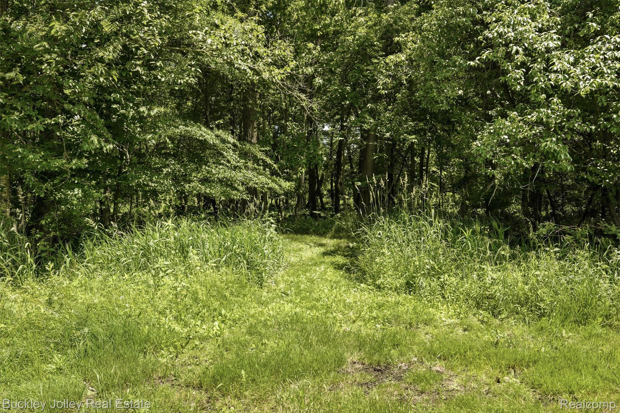 6132 West Lange Road Howell, MI 48843 - Photo 43 of 50