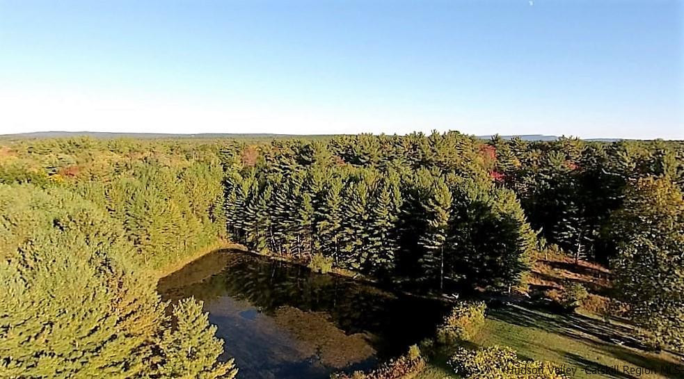 211 Palentown Road Kerhonkson, NY 12446 - Photo 29 of 29 Photo 29