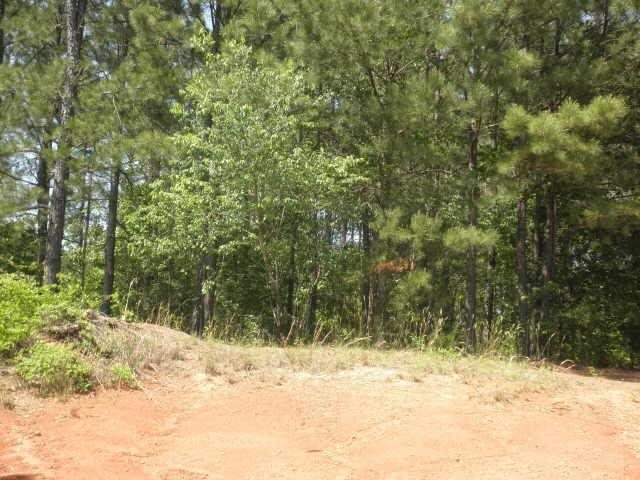 0 Concord Road, Unit LOT 10 Newborn, GA 31085 - Photo 1 of 1 Gallery Image 1