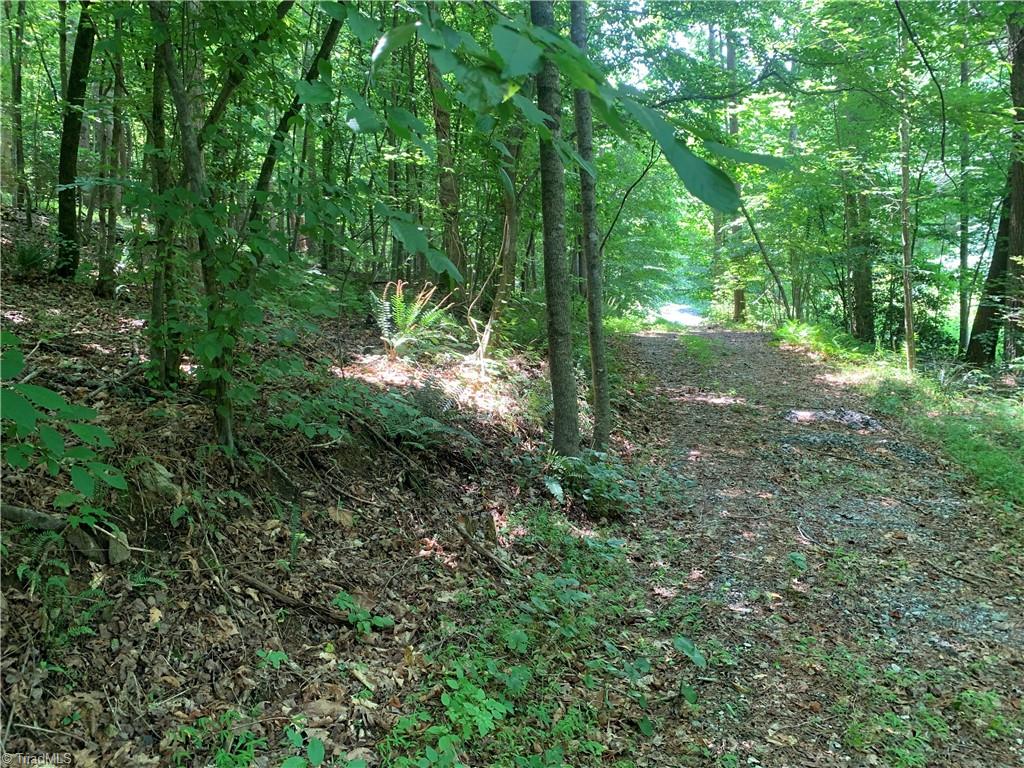Tbd Falls Road Moravian Falls, NC 28654 - Photo 2 of 11 Gallery Image 2