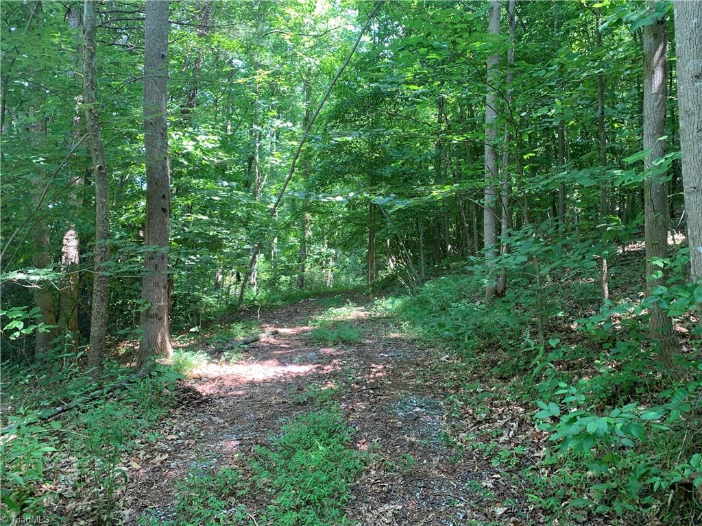 Tbd Falls Road Moravian Falls, NC 28654 - Photo 11 of 11 Gallery Image 11
