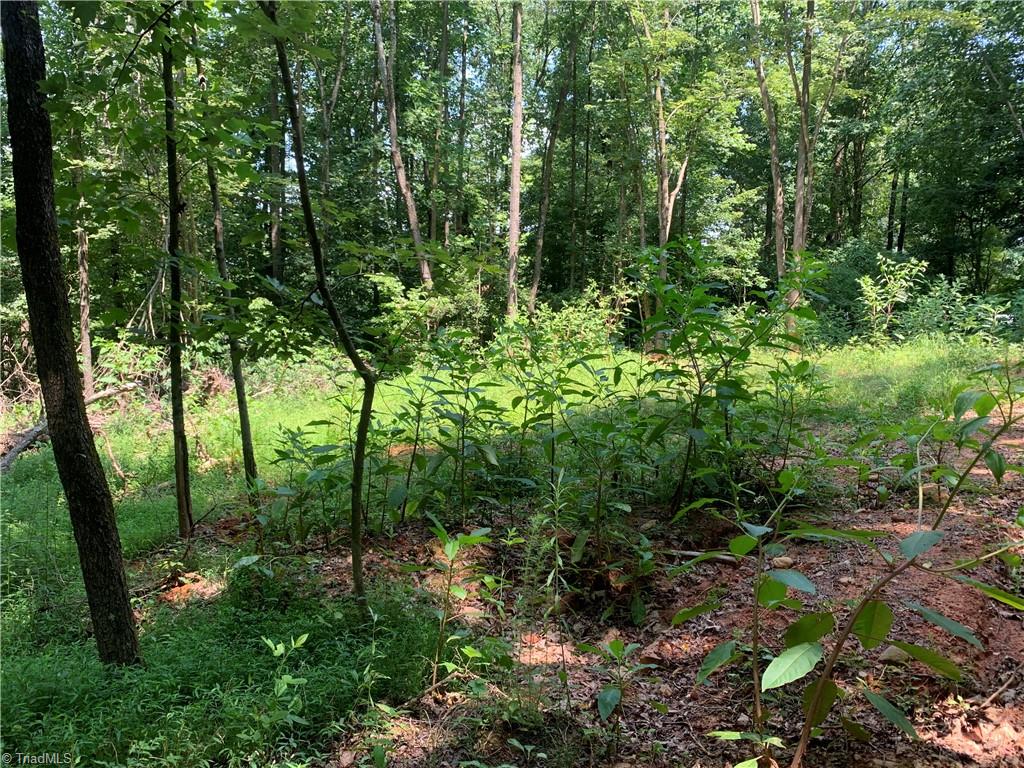 Tbd Falls Road Moravian Falls, NC 28654 - Photo 4 of 11 Gallery Image 4