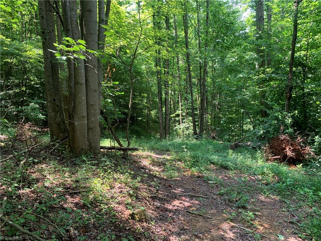 Tbd Falls Road Moravian Falls, NC 28654 - Photo 6 of 11 Gallery Image 6