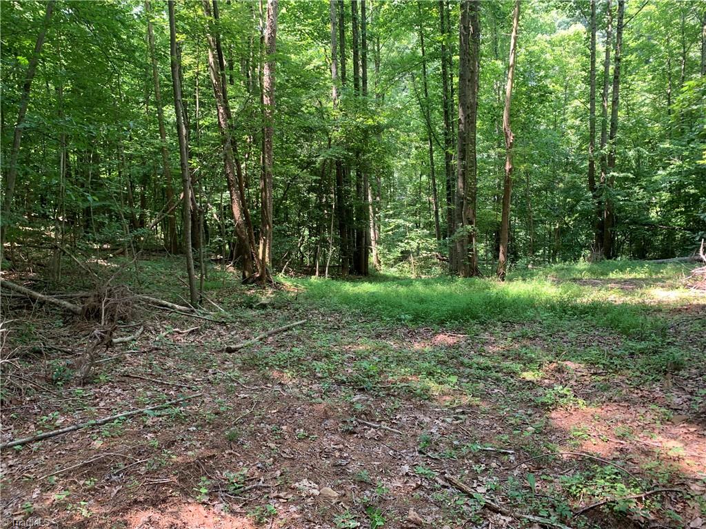 Tbd Falls Road Moravian Falls, NC 28654 - Photo 7 of 11 Gallery Image 7