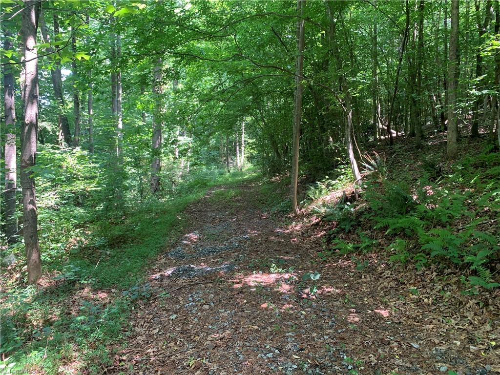Tbd Falls Road Moravian Falls, NC 28654 - Photo 10 of 11 Gallery Image 10