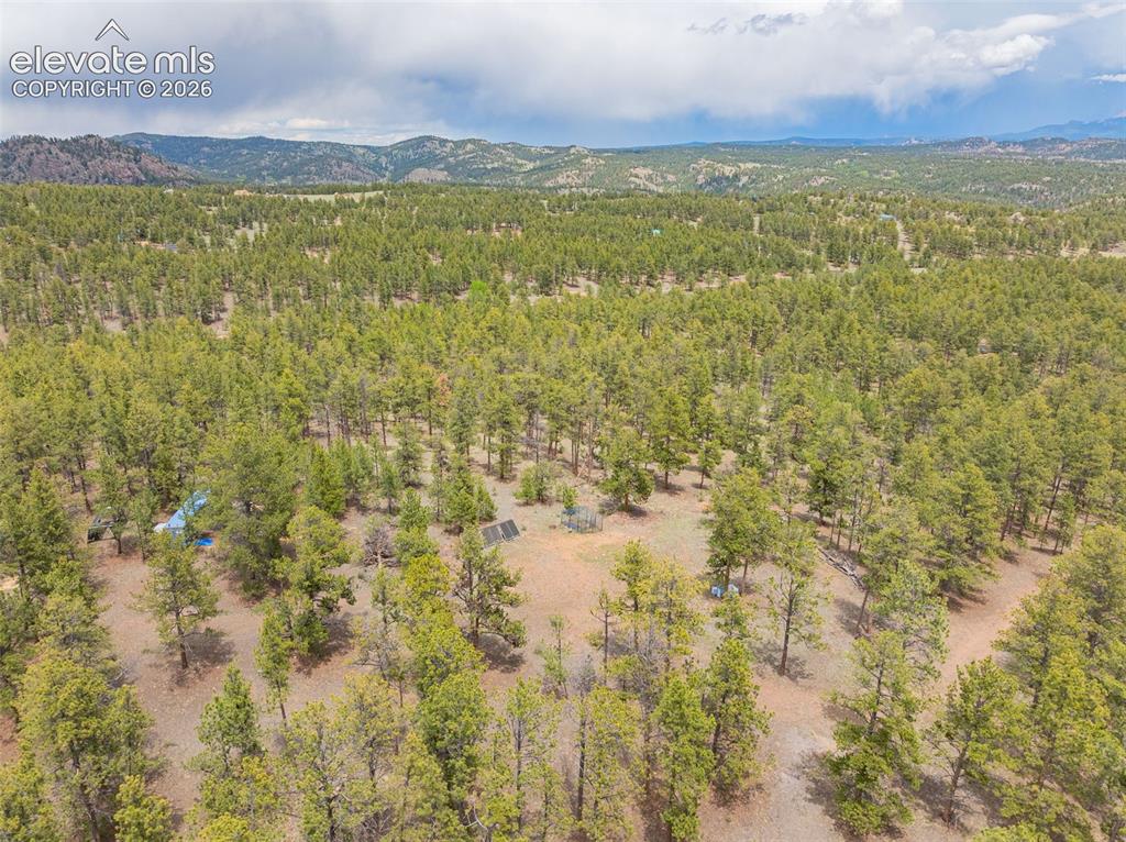 4250 Doe Valley Road Guffey, CO 80820 - Photo 27 of 35