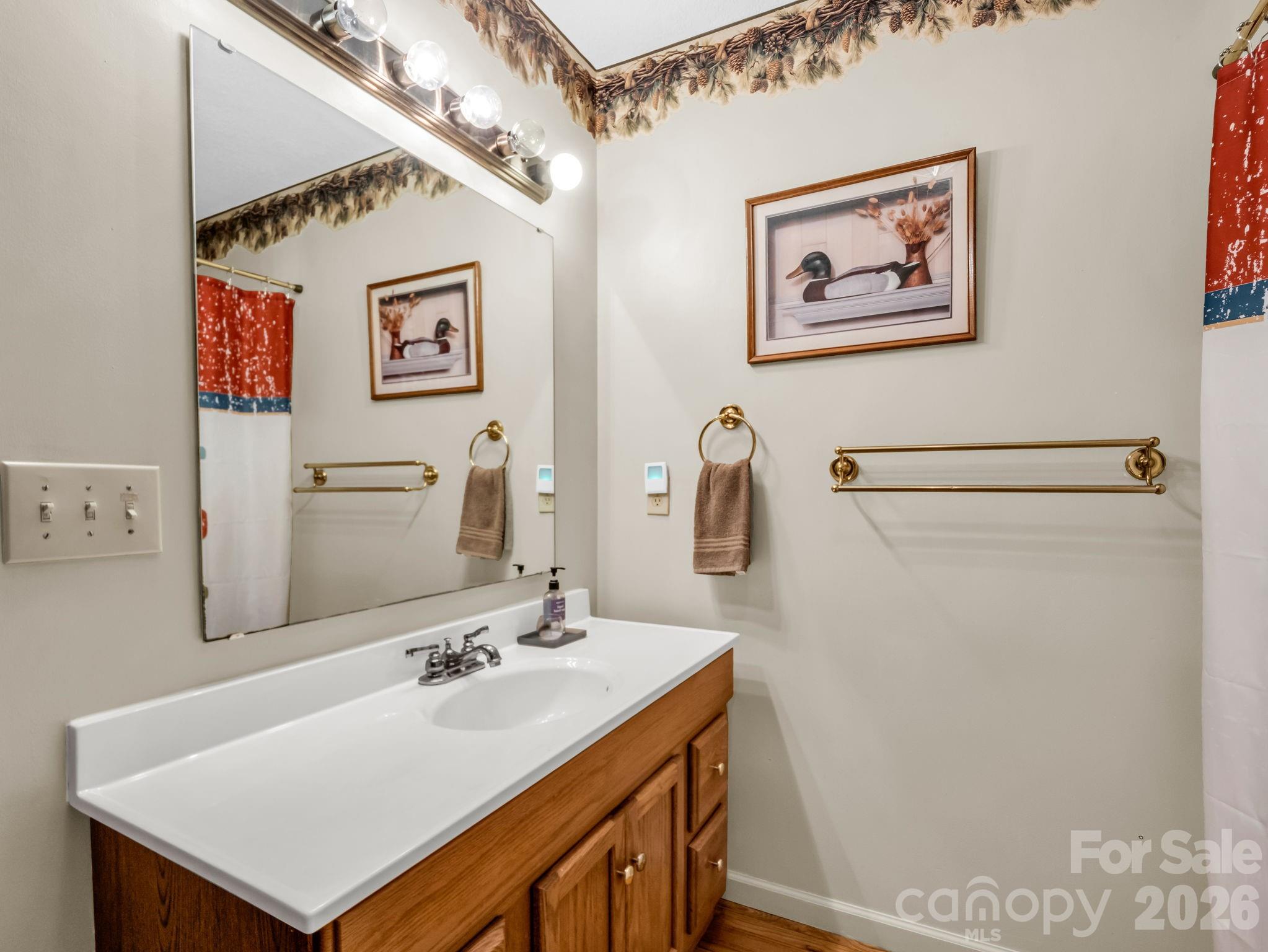268 Mallard Road Lake Lure, NC 28746 - Photo 23 of 44 a bathroom with a sink and a mirror