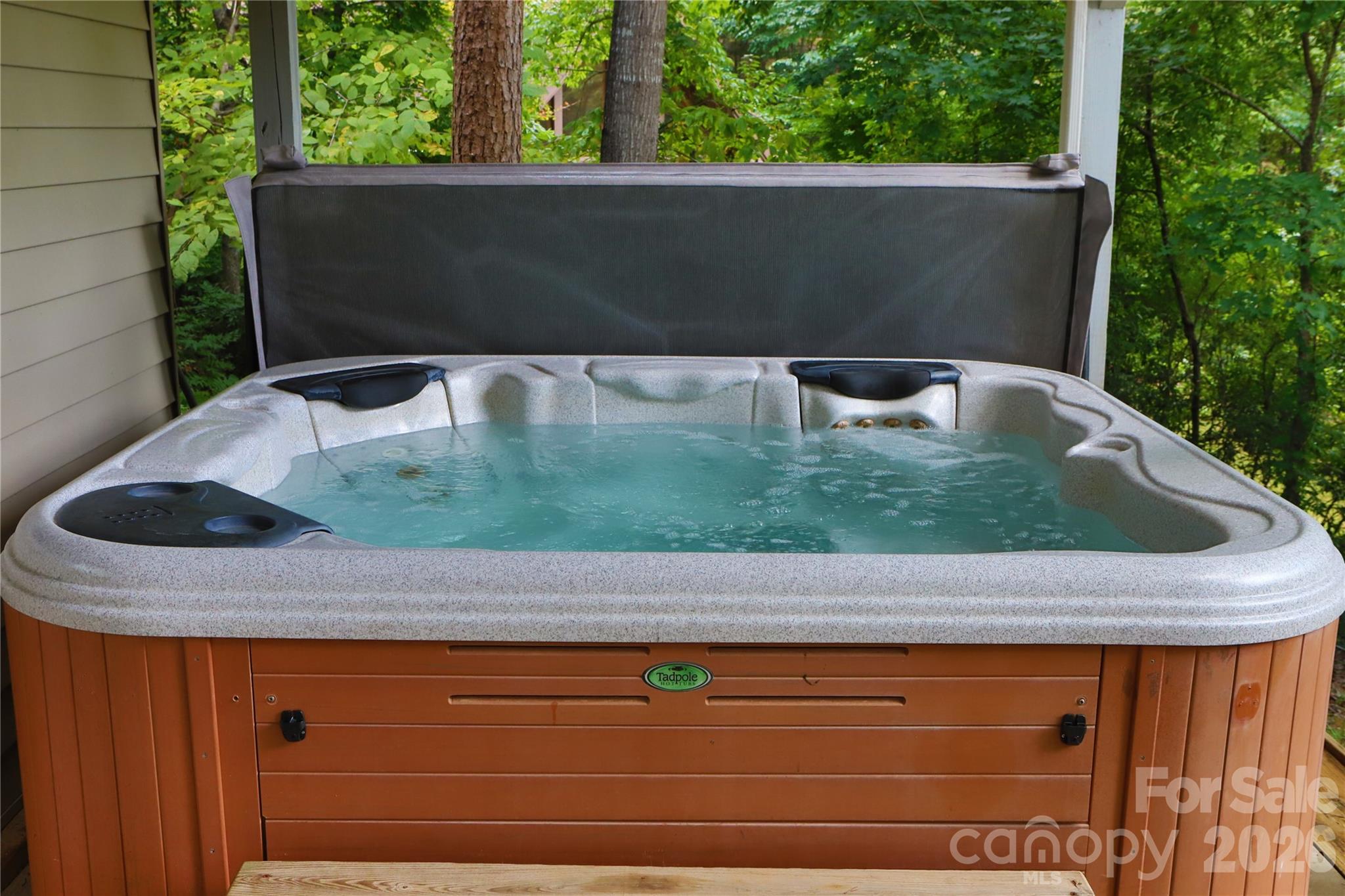 268 Mallard Road Lake Lure, NC 28746 - Photo 35 of 44 a view of outdoor space