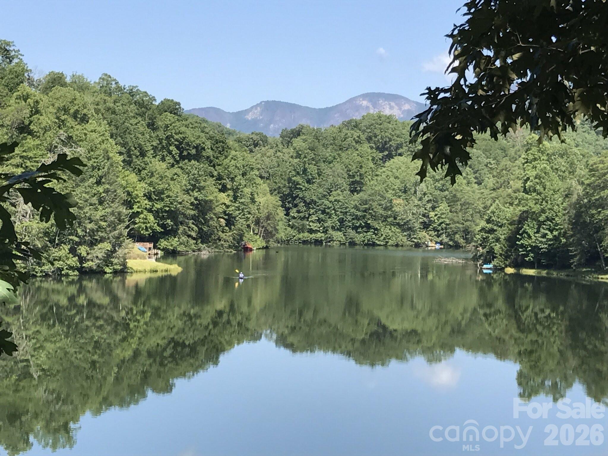 268 Mallard Road Lake Lure, NC 28746 - Photo 39 of 44 a view of a lake in a forest