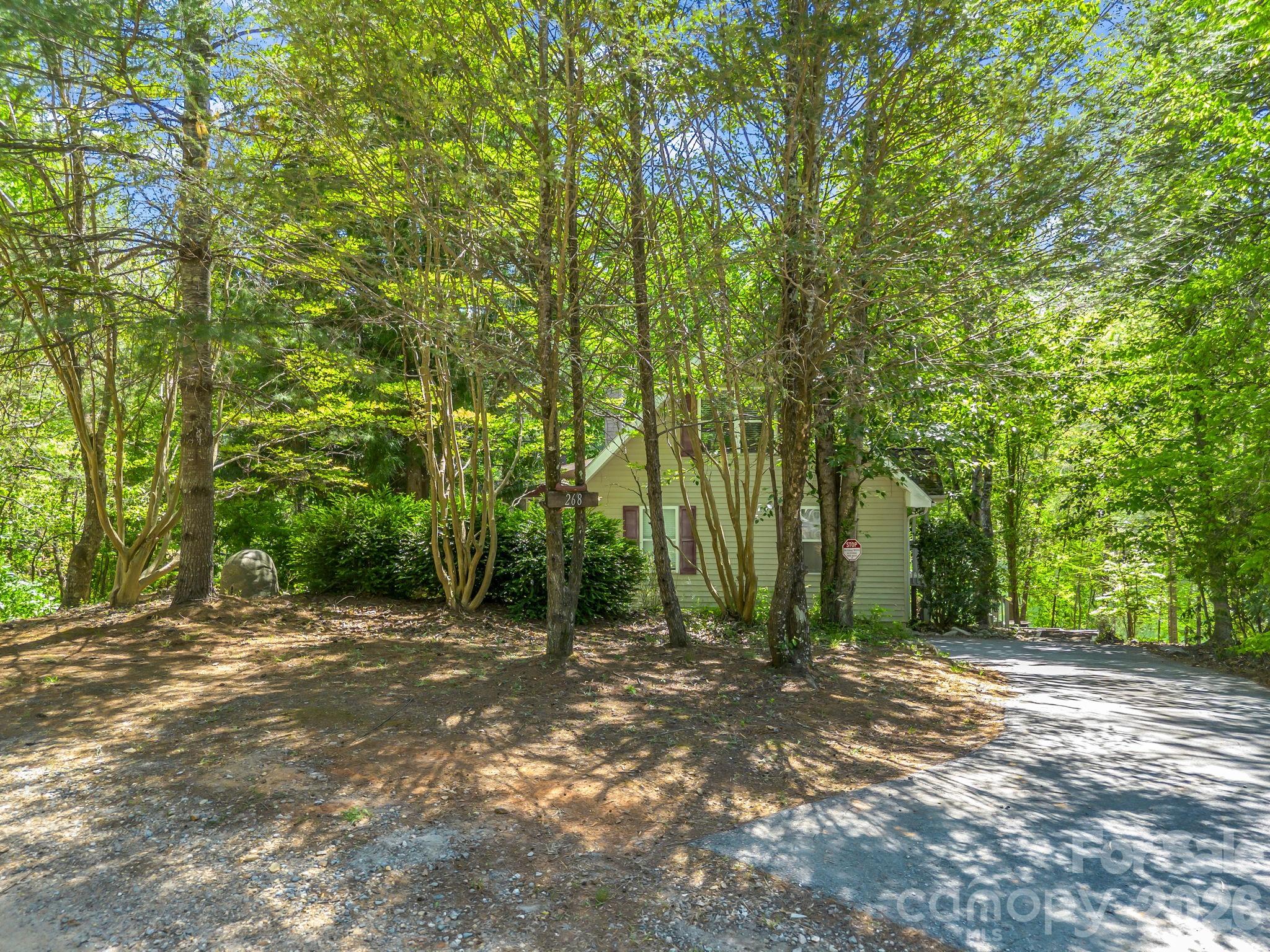 268 Mallard Road Lake Lure, NC 28746 - Photo 7 of 44 a view of outdoor space and tree